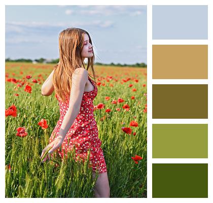 Summer Young Woman Poppies Image